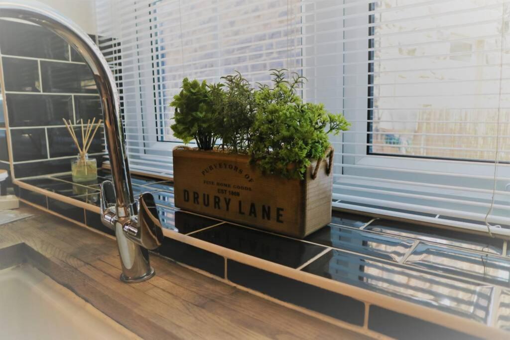 Mews Cottage هاروغايت المظهر الخارجي الصورة